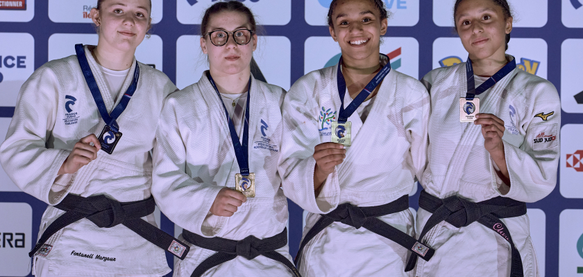 Visuel Une Championne  à liniers