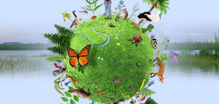 Visuel 1ère commission public - Biodiversitque