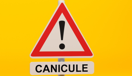 Visuel Canicule vigilance orange