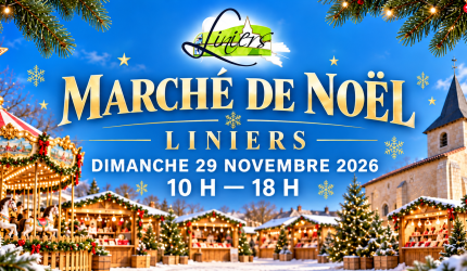 Visuel Comment candidater pour le marché de Noël