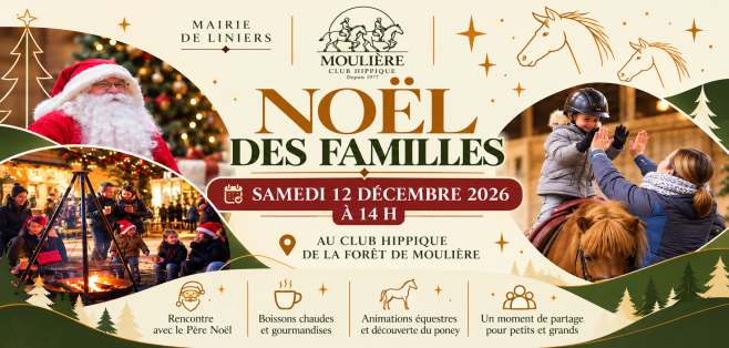 Visuel Noël des familles